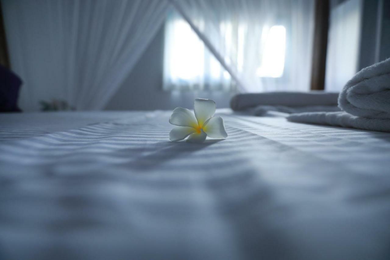 Dock Holiday Guest House 우나와투나 외부 사진